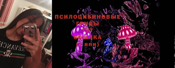 spice Кинешма