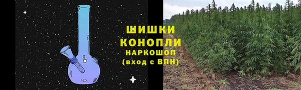стафф Каменногорск