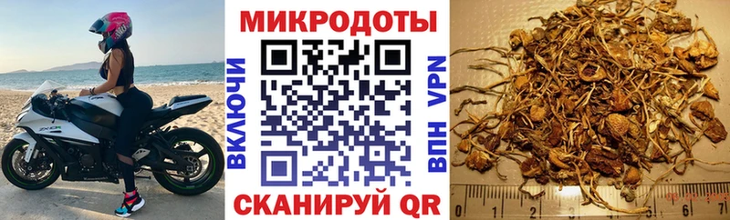 Купить где  Тавда  Галлюциногенные грибы мухоморы 